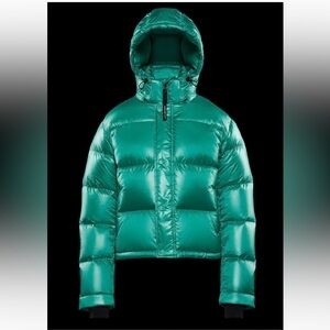 Aritzia SuperPuff Hi Gloss Shorty